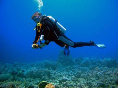Scuba Diving for Beginner or Experienced w/ Lunch