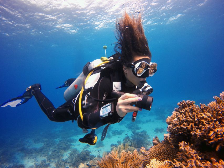 Kusadasi: Scuba Diving for Beginner or Experienced w/ Lunch - What to Bring, What Not to Bring, and Small Rules That Matter