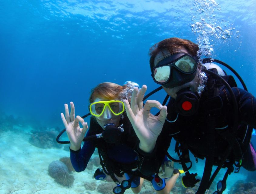 Kusadasi: Scuba Diving for Beginners w/Lunch & Transfer - Gear, equipment, and the safety briefing: the part that makes beginners feel calm
