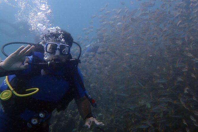 Kusadasi Scuba Diving Tour By Local Experts - Getting to the Port: Hotel Pickup and an 8:30am Start