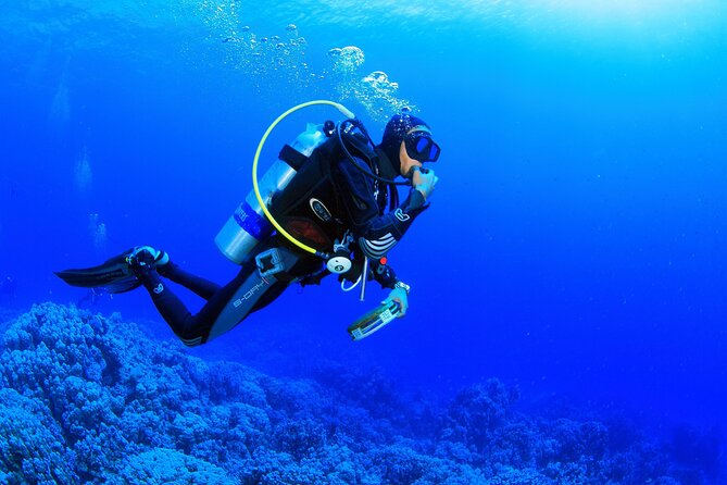 Kusadasi Scuba Diving Tour By Local Experts - The Water Session at a Fish-Filled Kusadası Site (About 25 Minutes)