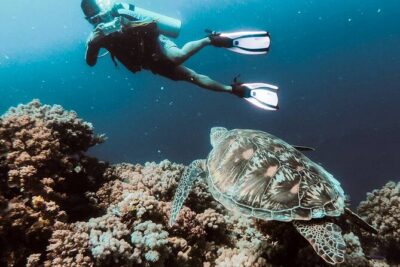 Kusadasi Scuba Diving Tour By Local Experts