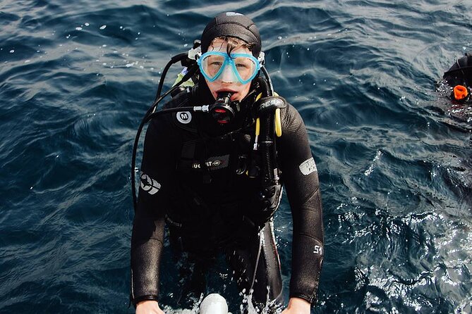 Kusadasi Scuba Diving Tour By Local Experts - Price and Value: What $40 Includes (and What It Does Not)