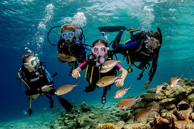 Kusadasi Scuba Diving Tour By Local Experts - Family-Friendly Scuba Time in Kusadası