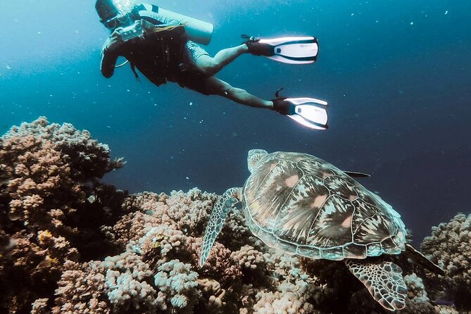 Kusadasi Scuba Diving Tour By Local Experts - Onboard Training: Gear Setup and Underwater Sign Language Cues