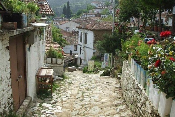 Kusadasi Shore Excursion: Private Full-Day Tour to Ephesus, Didyma and Miletus - Who This Tour Fits Best (and Who Might Want a Different Plan)