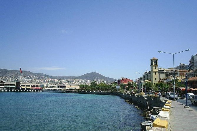 Kusadasi Shore Excursion: Private Tour to Ephesus including House of Virgin Mary and Temple of Artemis - Temple of Artemis: the Seven Wonders stop with big archaeology energy