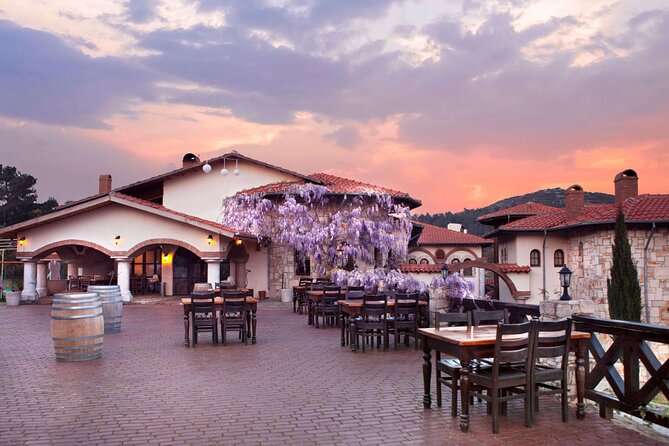 Kusadasi Shore Excursions Ephesus and Wine Tasting Tours - Price and Logistics: Is This $70 Day Actually Good Value?