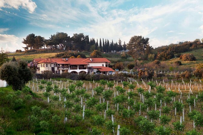 Kusadasi Shore Excursions Ephesus and Wine Tasting Tours - Timing That Keeps Your Cruise Day From Melting Down