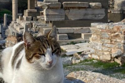 Less Walking Tour : Private Ephesus, House of Virgin Mary, Temple