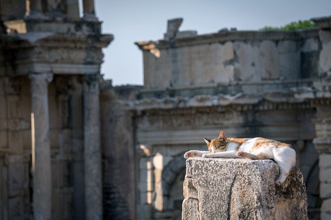 NEW: Private The Most Detailed Ephesus Shore Excursion / with Lunch - Price and Entrance Fees: The Real Value Math