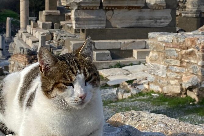NO HIDDEN FEES : Ephesus, Virgin Mary's House, St. John Basilica - Basilica of St John: St John’s last years, plus that hilltop feel