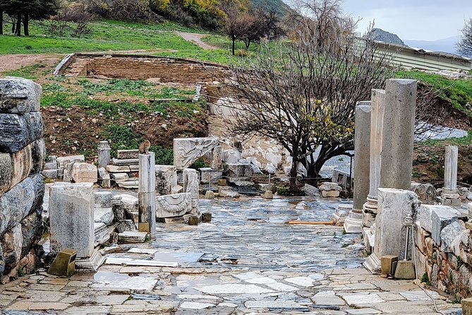 NO HIDDEN FEES : Private Ephesus, Artemission with grp. option - Price value: why $99 can feel fair for what you get