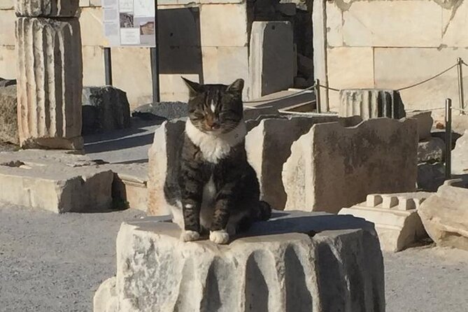 NO HIDDEN FEES Private Ephesus with skip the line tickets - What Tempo Feels Like: You Control Time on the Ruins