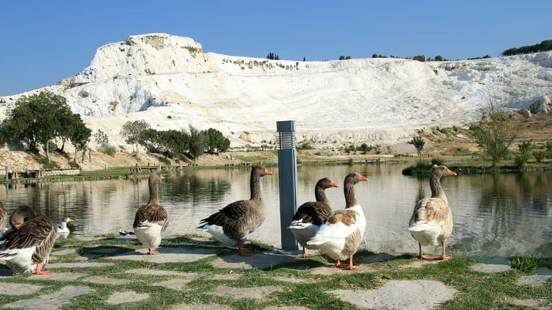 Pamukkale and Hierapolis: Full-Day Private or Group Tour - What to bring so Pamukkale feels easy, not miserable