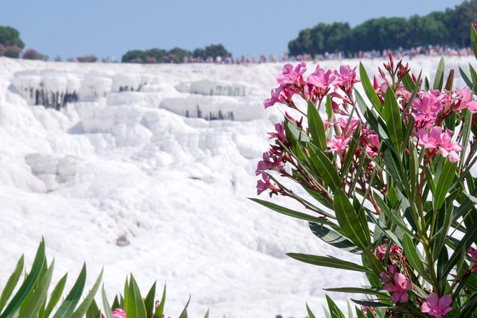 Pamukkale Day Tour from Selcuk - Getting going at 7:30am: pickup, timing, and comfort