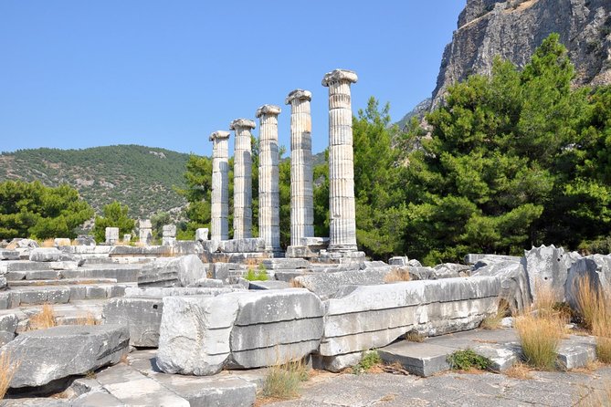 Priene Miletos Didyma Tour From Kusadasi / Selcuk Hotels - Price and Value: What You’re Actually Paying For