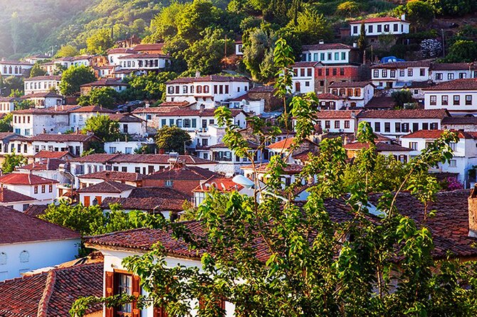 Private Ephesus and Sirince Village Tour from Kusadasi Port/Lunch - Pickup, cruise timing, and the ride that sets the tone