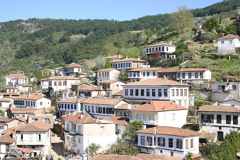 Private Ephesus, Terrace Houses & Sirince Village Tour - Entering Ephesus: Celsus Library and the marble-street rhythm