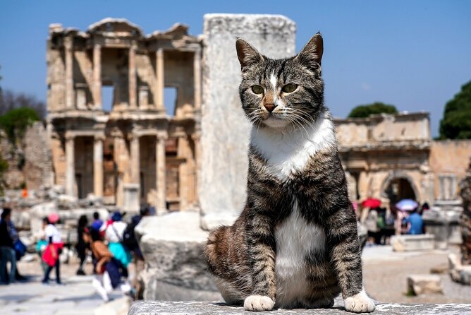 Private Ephesus Tour from Kusadasi - A private Ephesus day from Kusadasi that fits real time