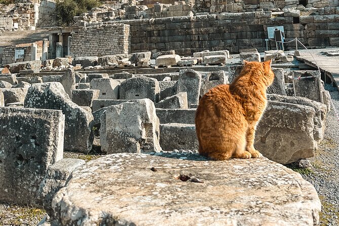 Private Half Day Ephesus Shore Excursion from Kusadasi - Price and what $60 really covers (plus the ticket gap)
