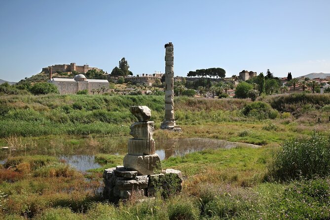 Private Tour: Best of Ephesus for Cruise Passengers. - Optional Terrace Houses: when it is worth the extra entrance fee
