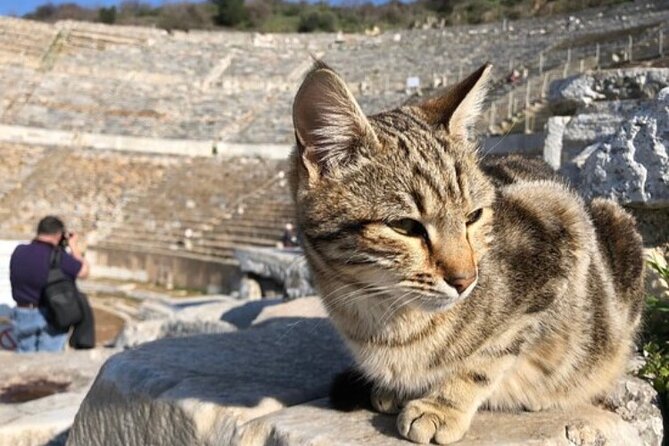 Private Tour : Biblical Ephesus Tour for Cruisers from Kusadasi ( Ephesus ) Port - Entrance fees and the real price value: $39 plus a little planning