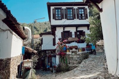 Private Tour of Ephesus, Artemis Temple and Sirince Village