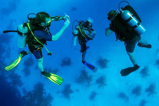 Scuba Diving Tour From Kusadasi / Selcuk - How This First Scuba Day Works From Kuşadası Or Selçuk