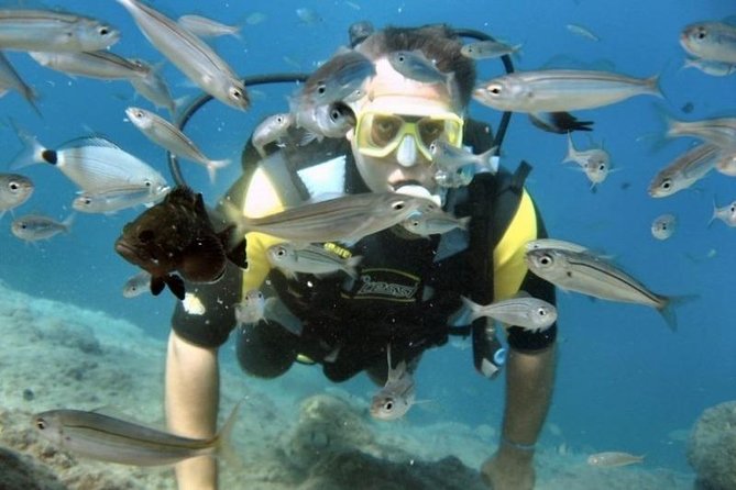 Scuba Diving Tour From Kusadasi / Selcuk - Equipment, Insurance, And Lunch: The Stuff That Keeps Your Day Easy