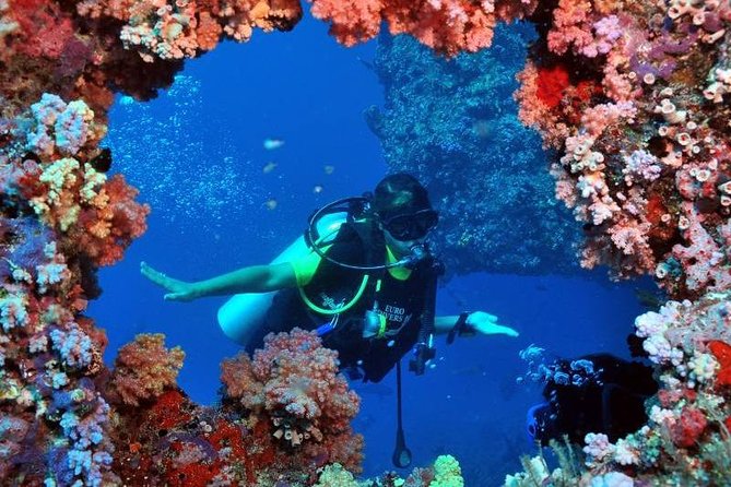 Scuba Diving Tour From Kusadasi / Selcuk - Group Size And The Feel Of The Day