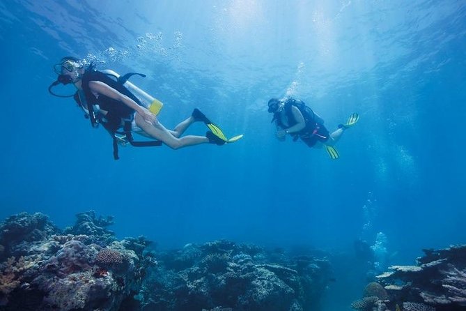 Scuba Diving Tour From Kusadasi / Selcuk - What To Bring (So You Actually Enjoy The Day)