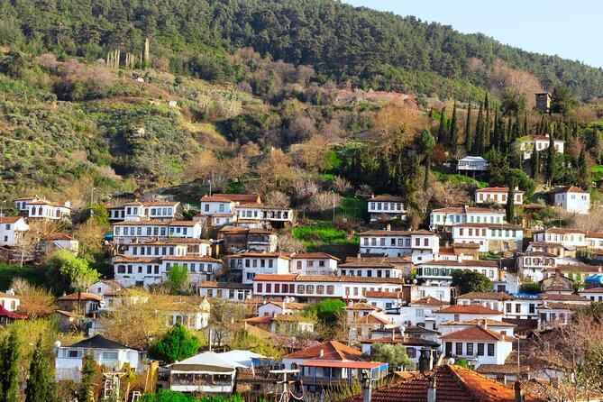 Small Group Ephesus & Sirince Village Tour From Kusadasi / Selcuk Hotels - Isa Bey Mosque and Curetes Street: When Details Become the Main Event